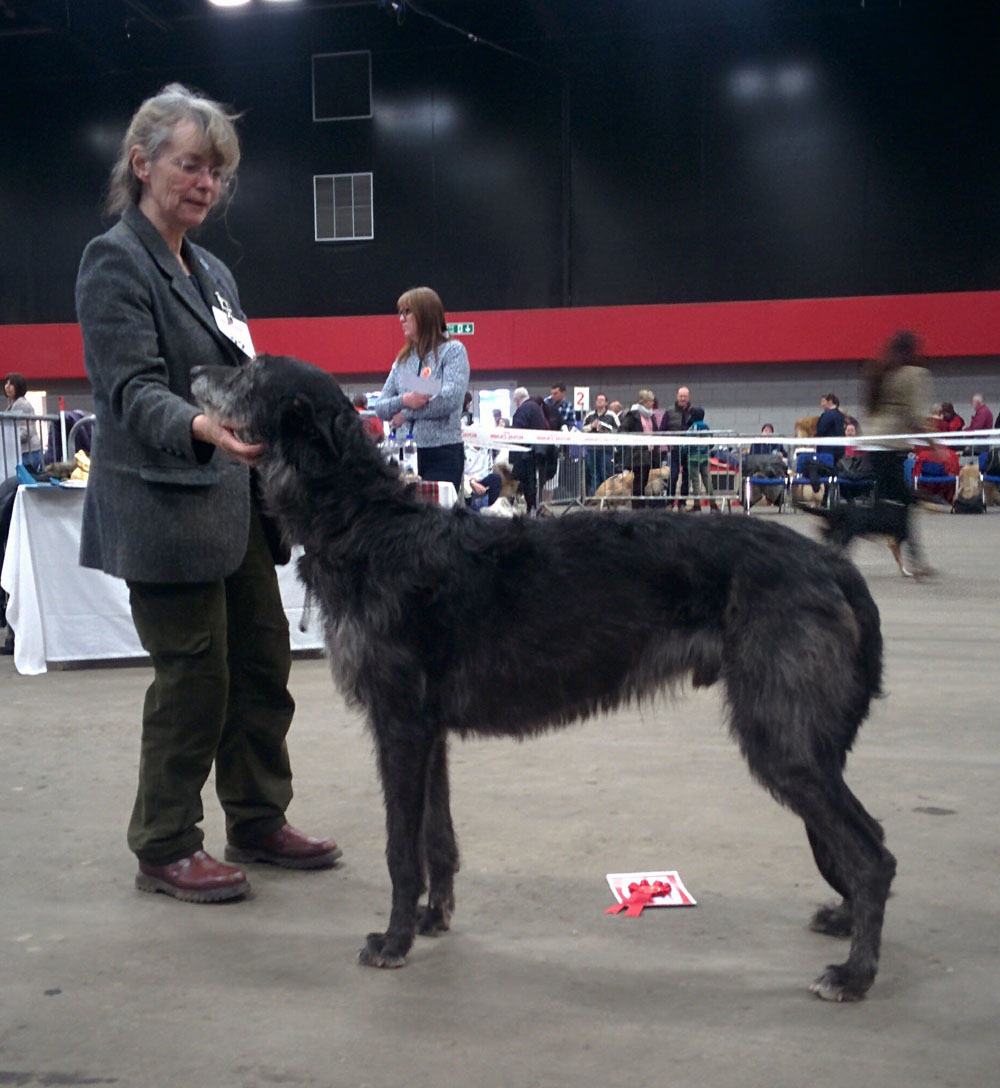 BOB Scottish Breeds 2017